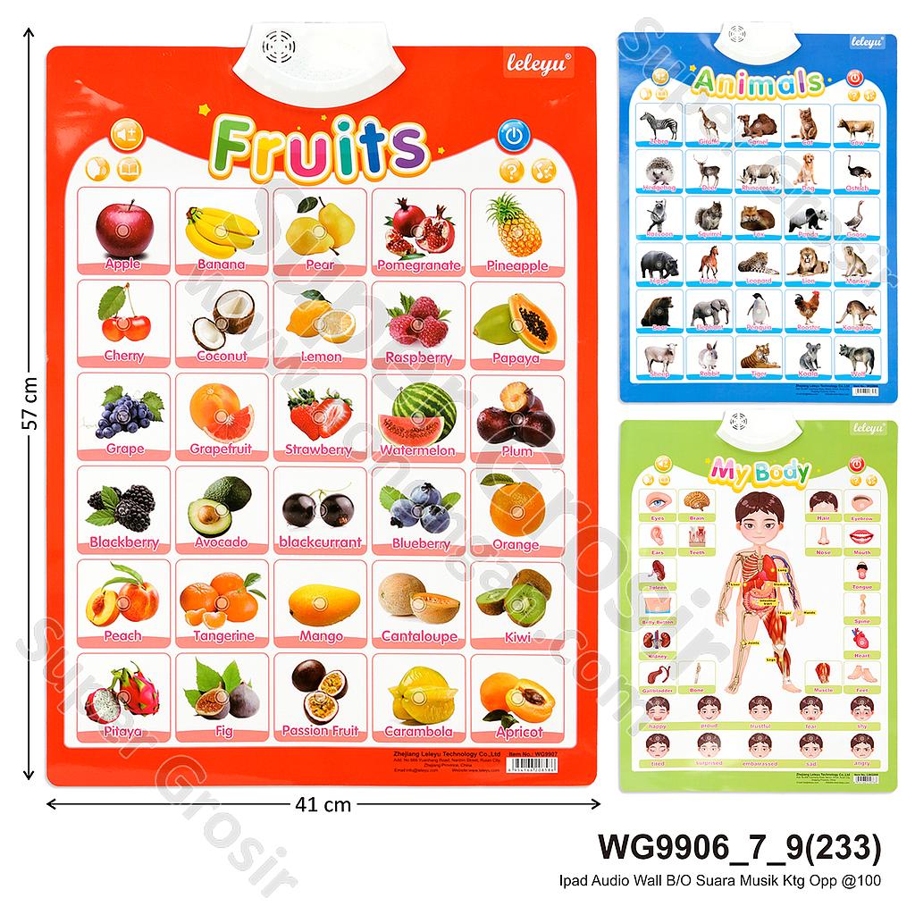 Mainan Edukasi Ipad Audio Wall B/O Suara Musik Ktg Opp @100
